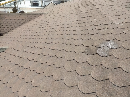 Shingle �at�